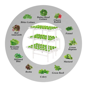 Últimos Productos: Sistema de Cultivo Hidropónico, Kit de Riego para Plantas de Interior - Product Image 3