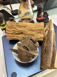 ธูปไม้กฤษณาธรรมชาติพรีเมียม ชนิดก้อน กลิ่นหอมหวานเข้มข้น คุณภาพสูง สำหรับจุดเผา ให้กลิ่นหอมยาวนาน - Product Image 2