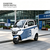 Certificat COC EEC Europe, tricycles à 3 roues, voiture à passagers, tricycle électrique, mini tricycle électrique pour adultes, pour 2 personnes
