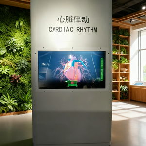 Нажмите кнопку, чтобы ударить Thegroundhog, координация рук и глаз, и провести тестирование реакции, научная выставка, - Product Image 1