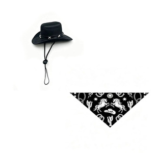 Western Cowboy Hat With Triangular Bandana For Duck Pet Costume Decorative Accessory Zhejiang Origin - Product Image 3