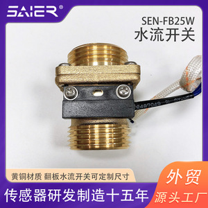 Interruptor de Flujo de Agua Tipo Palanca de Latón para Tratamiento de Agua, Bomba de Calor, Caldera Solar - Control de Medios Líquidos Tipo Paleta - Product Image 4