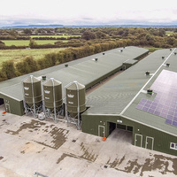 Bâtiment de ferme avicole moderne en structure acier préfabriquée, conception pour 1000 poulets, poulailler à vendre