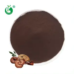 Manufacturer Wholesale Food Grade 98% Cracked Cell Wall Reishi Mushroom Ganoderma Lucidum Spore Powder