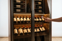 Meuble Bar Haut de Gamme avec Éclairage LED et Portes en Verre Fumé, Présentoir à Vin Moderne pour Salon avec Détails en Laiton
