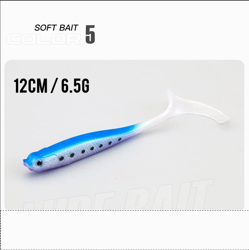 5# Tache noire à dos bleu