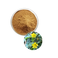 Extrait de Tribulus Terrestris Pur et Naturel de Haute Qualité en Poudre, Saponines, Extrait de Tribulus Terrestris