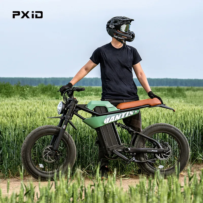 PXID MANTIS P6 City E Bikes Adult 20 Inch Fat Tire Ebike 120KM High Range Electric Bikes