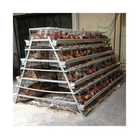 Cages à Poules Pondeuses de Type A Entièrement Automatiques et Manuelles Haute Qualité État Neuf