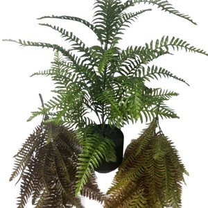 Helecho Imperador en Maceta Greenway de 70 cm, Planta Artificial con Hojas Verdes, Decoración de Interiores, Estilo Rústico, Estilo Natural - Product Image 2
