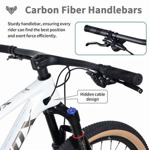 <span class=keywords><strong>Bicicleta</strong></span> de Alto Rendimiento OEM con Cuadro de Carbono, Suspensión Completa, Llantas de Aleación de Aluminio, 12 Velocidades, Frenos de Disco Hidráulicos, Cassette 11-50T - Product Image 5