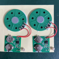 Modules de son d'enregistrement vocal de capteur de lumière de haute qualité avec solution de boîte à puce de musique de boîtier en PVC