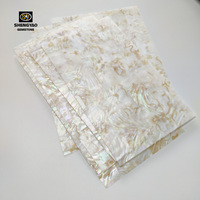 Feuille de papier nacre blanche, coquille de perle, serpillière blanche, coquille blanche, livraison gratuite