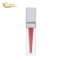 Kits de gloss à lèvres personnalisables à base de plantes, format poche, rehausseur de couleur, brillance sensuelle, vente en gros, longue tenue, rehausseur de couleur