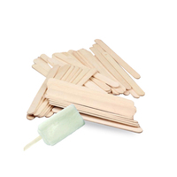 Bâtonnets de glace en bois jetables écologiques, crème glacée maison, bâtonnets de glace naturels, protection de l'environnement