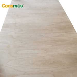 Panneau de contreplaqué flexible, <span class=keywords><strong>MDF</strong></span> flexible, prix d'usine Consmos - Product Image 5