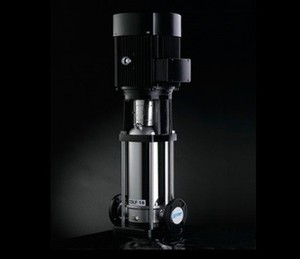 Bomba de Filtro de Agua con Todas las Piezas Principales de Acero Inoxidable para Tratamiento de Agua, Conector de Entrada y Salida con Rosca o Brida para Opción de Voltaje - Product Image 5