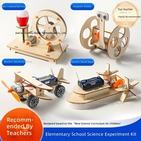 Kit de Experimentos Científicos de Madera, Juego de Construcción Educativo para Niños y Niñas de 0 a 3 Meses - Juguete STEM