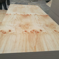 4x8 Construction Grade Plywood Waterproof Marine CDX Pine Plywood Modern Design Pine Wood Timber Ply Wood