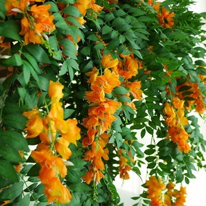 Green Field Artificial Flower Vine Hanging Plant Silk Orange Green Leaves Indoor Wall Decoration Bouquet 1056 - Product Image 3