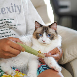 3 unids/pack Catnip Cat Chew Stick Box paquete <span class=keywords><strong>aliento</strong></span> fresco juguetes para gatos Natural Catnip gatos masticar juguete - Product Image 2