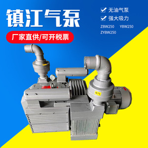ปั๊มสุญญากาศแบบไร้น้ำมัน Isge ZYBW250 69 ลิตร/นาที 250 เมตร หัวเหล็กหล่อ สแตนเลส สำหรับงานอุตสาหกรรม - Product Image 3