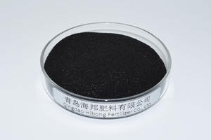 الإفراج السريع العضوية عشب البحر استخراج الطحلب مع الأسمدة الزراعية Agricolas - Product Image 3