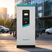 Station de recharge rapide DC 60kW 120kW 160kW, chargeur EV double pistolet, écran tactile, arrêt d'urgence, utilisation commerciale en parking