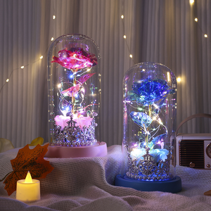 Rosa Eterna Preservada Hecha a Mano en Cúpula de Cristal con Luz LED, Regalo de Navidad, San Valentín, Graduación, Día de Acción de Gracias para Mamá y Mujeres - Product Image 5