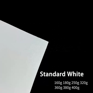 Papel Ecológico de Pulpa de Caña de Azúcar Blanco Alto/Blanco Estándar/Marrón Personalizado OEM - Product Image 3