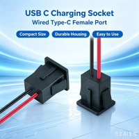 Conector USB-C Hembra con Cables, Tipo C de 2 Pines para Montaje en Panel, Receptáculo Tipo C Precableado LN-068
