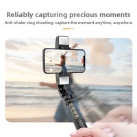Nouveau stabilisateur pour perche à selfie télécommandée, anti-tremblement, avec lumière LED intégrée, mini trépied portable en alliage d'aluminium pour VLOG