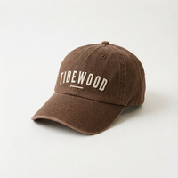 Casquette de baseball en coton lavé TIDEWOOD avec broderie de lettres, style rétro classique, pour homme et femme
