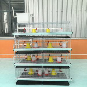 Jaula de Cría Tipo H de 4 Niveles, Jaulas para Pollitos Galvanizadas en Caliente, para Avicultura y Cría en Granjas - Product Image 2