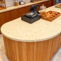 Revêtement de sol en terrazzo architectural, couleur personnalisée, dalle de terrazzo de grande taille pour bâtiment commercial