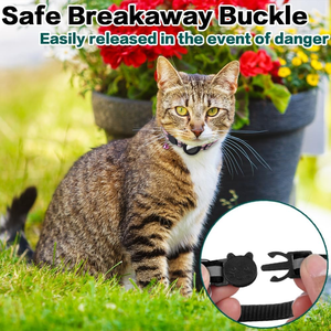Cat Accessory Custom Reflective Pet Cat <b>Collar</b> for Protective Holder Silicone WaterProof Case <b>Collar</b> with Bell - Product Image 4