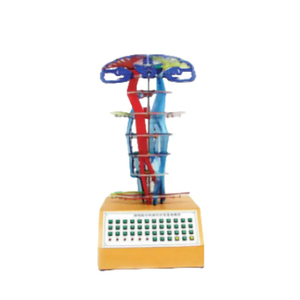 Mô hình điện dẫn truyền thần kinh trung ương zm7001 87x37x14 - Product Image 4