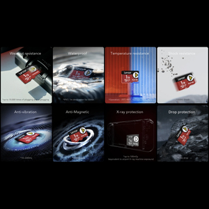 Ban Đầu Lexar Chơi Pro <span class=keywords><strong>EX</strong></span> Thẻ Trò Chơi Tốc Độ Cao 256GB 1Tb Class 10 Ns2 Thẻ Nhớ Cho Máy Ảnh Chất Liệu Nhựa Thẻ Xd - Product Image 6