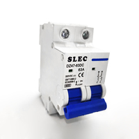 Disjoncteur solaire bipolaire 63A 100A 125A MCB pour batterie 48V, disjoncteur unipolaire CC 250V 500V 1000V MCB