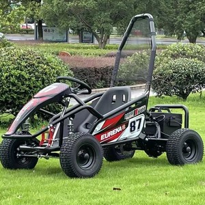 Kart à essence Eureka 125cc, 4 temps, frein à disque, transmission par chaîne, véhicule tout-terrain pour enfants - Product Image 2
