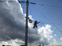 Fil de treillis galvanisé triple tressé en acier pour serre