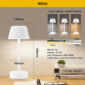 Lampe de bureau moderne minimaliste en métal, lumière d'ambiance de bureau, petite veilleuse de chevet pour chambre à coucher, LED flexible, écologique - Product Image 6