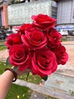 Bunga Mawar Merah Artificial Berkualitas Tinggi Simulasi 9-Lovers Air Terjun Mawar untuk Dekorasi Pernikahan Grosir Bunga Palsu Dekorasi Pernikahan