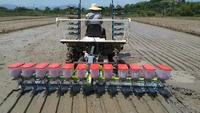 Vente directe d'usine pour le planteur de précision de riz/12 rangées de riz semant la machine avec du CE