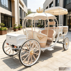 Élégante carrosse électrique en forme de citrouille pour cérémonies de mariage et excursions panoramiques - Product Image 1