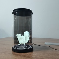 Équipement holographique de 5,5 pouces, écran LCD transparent 3D, affichage holographique circulaire sur le bureau