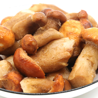 중국 야생 버섯 IQF 냉동 boletus edulis 운남