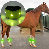 Bande led en nylon pour cheval, accessoires d'équitation, vente en gros, 1 mètre