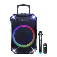 Enceinte trolley d'extérieur 12 pouces, audio mobile pour scène et KTV, avec microphone sans fil Bluetooth, basses puissantes, pour danse carrée