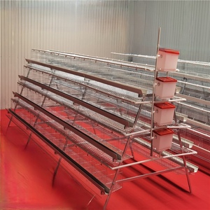 Equipo de Cría de Pollos de Engorde Automático, Jaula para Pollos de Engorde <span class=keywords><strong>Tipo</strong></span> Poultry, <span class=keywords><strong>Gallinero</strong></span> para Nigeria - Product Image 6